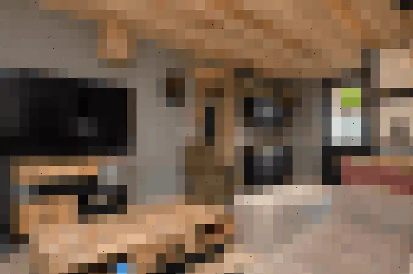Kleine Vos 2 Deurne thumbnail 22
