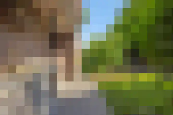 Kleine Vos 2 Deurne thumbnail 22