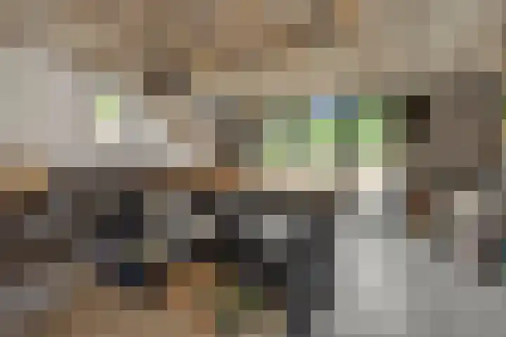 Kleine Vos 2 Deurne thumbnail 23