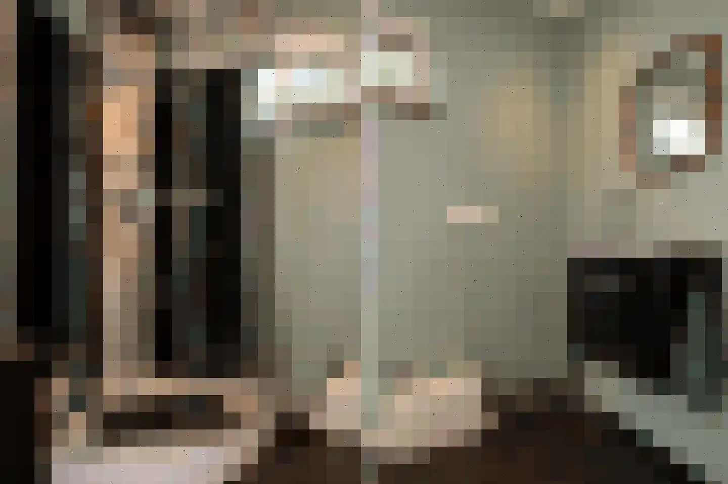 Kleine Vos 2 Deurne thumbnail 24