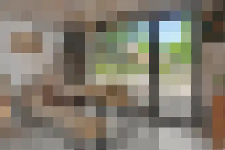 Kleine Vos 2 Deurne thumbnail 24
