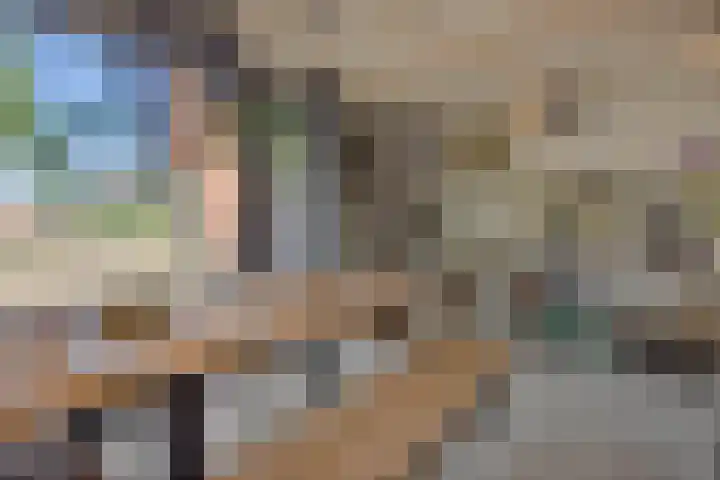 Kleine Vos 2 Deurne thumbnail 25