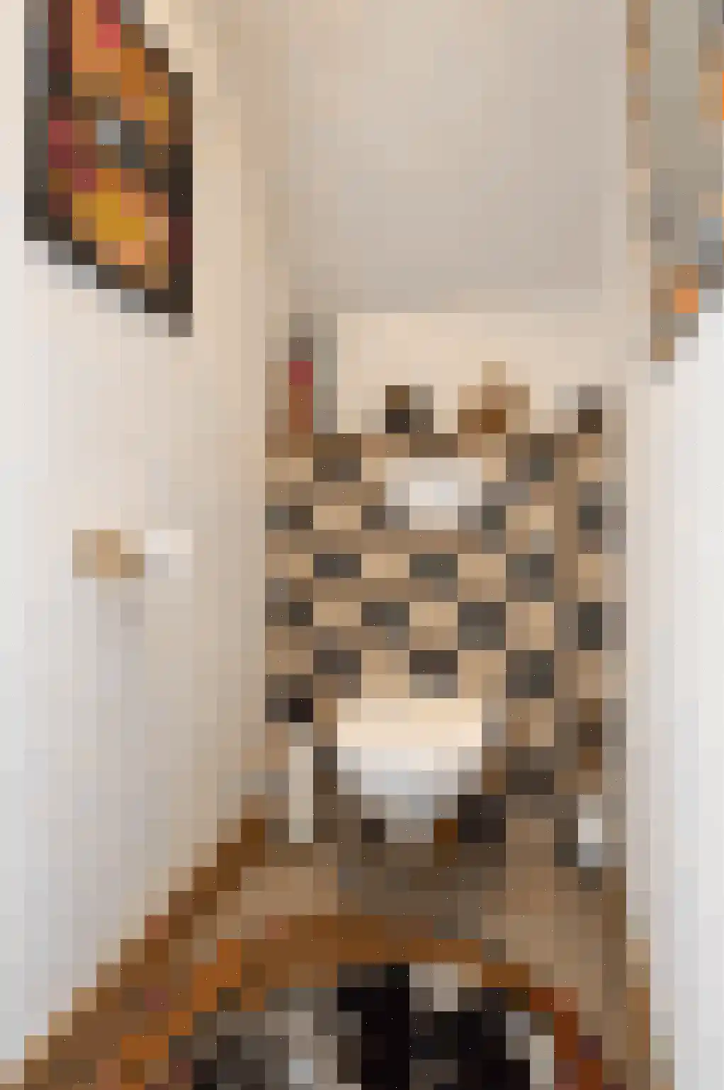 Kleine Vos 2 Deurne thumbnail 25