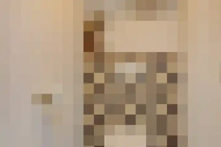 Kleine Vos 2 Deurne thumbnail 26