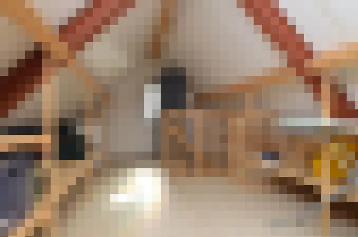 Kleine Vos 2 Deurne thumbnail 26