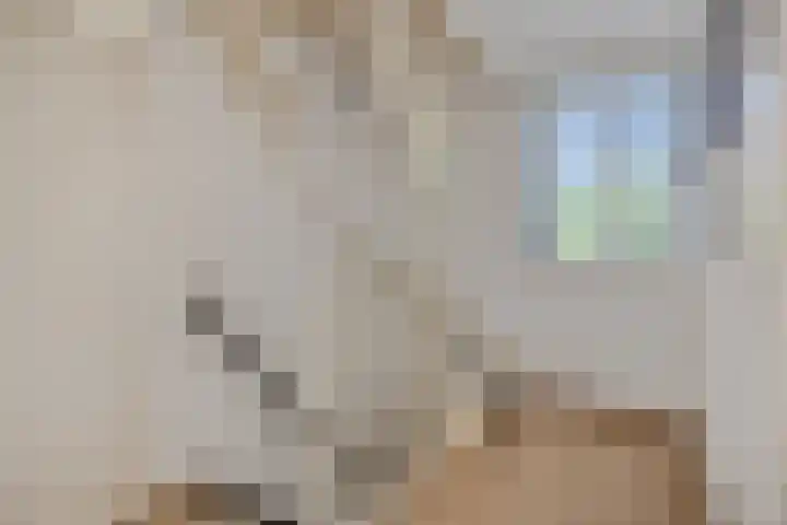 Kleine Vos 2 Deurne thumbnail 27