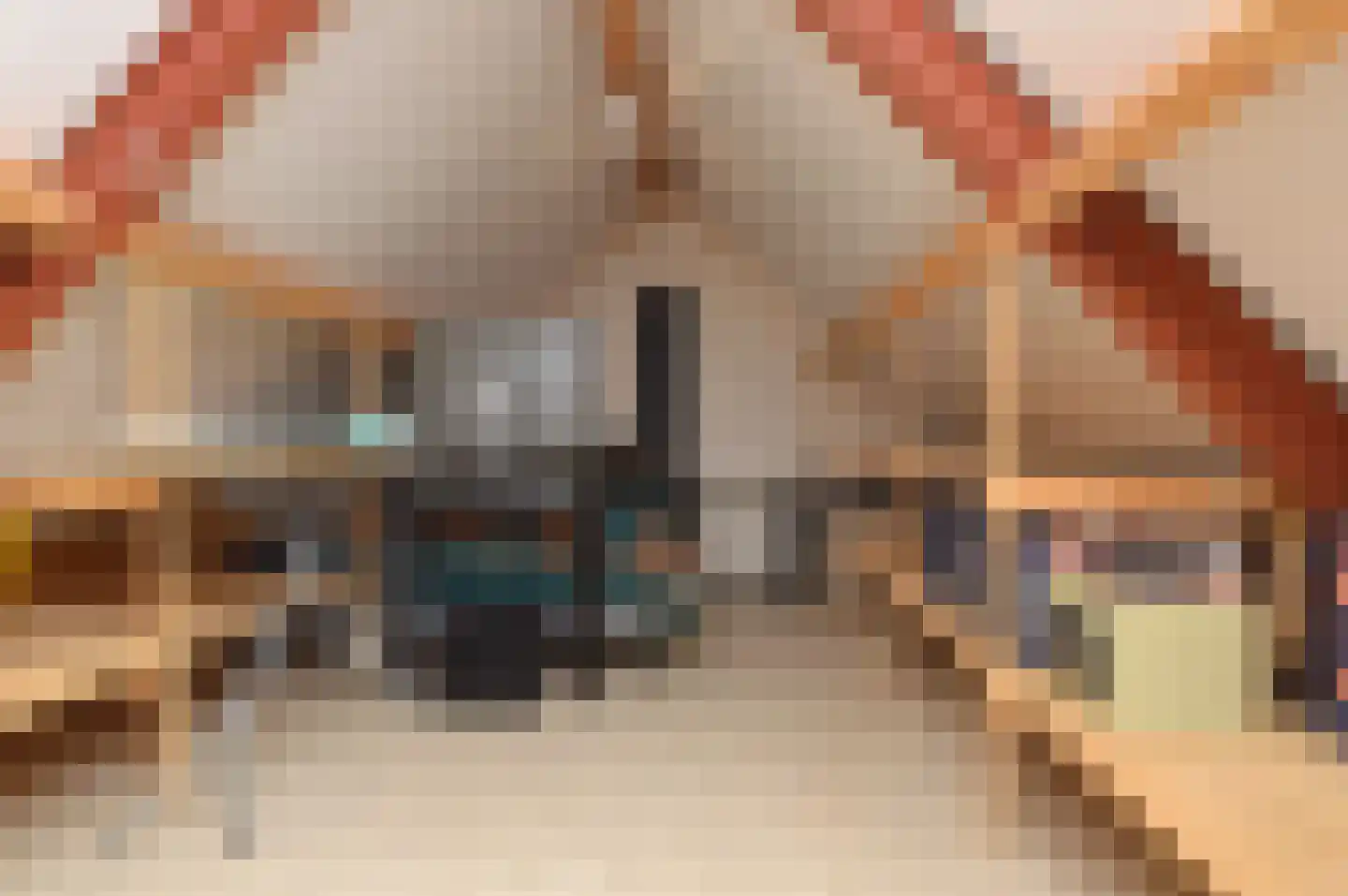 Kleine Vos 2 Deurne thumbnail 27