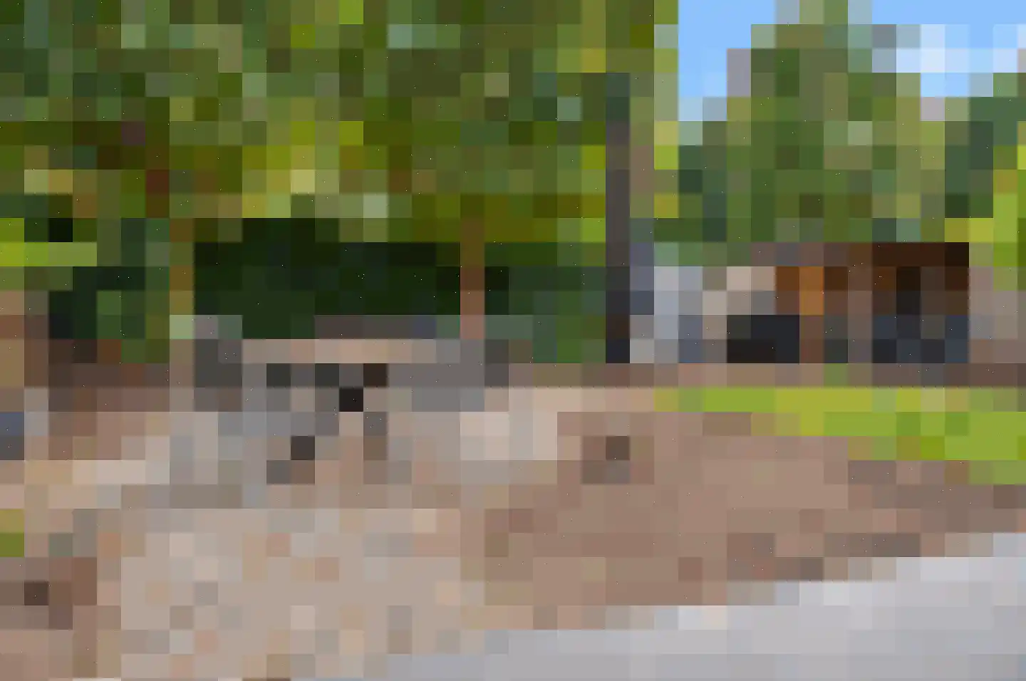 Kleine Vos 2 Deurne thumbnail 29