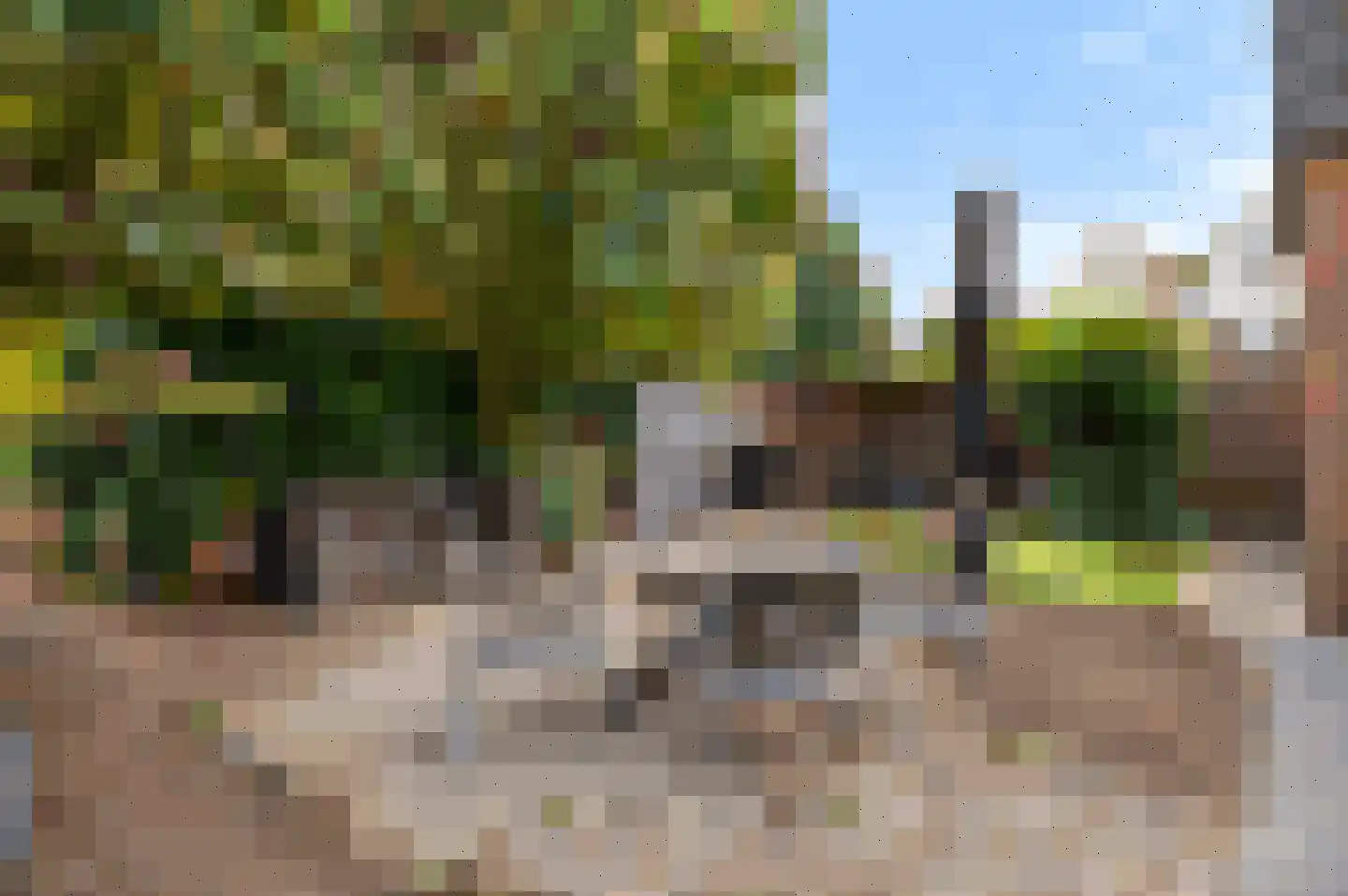 Kleine Vos 2 Deurne thumbnail 31