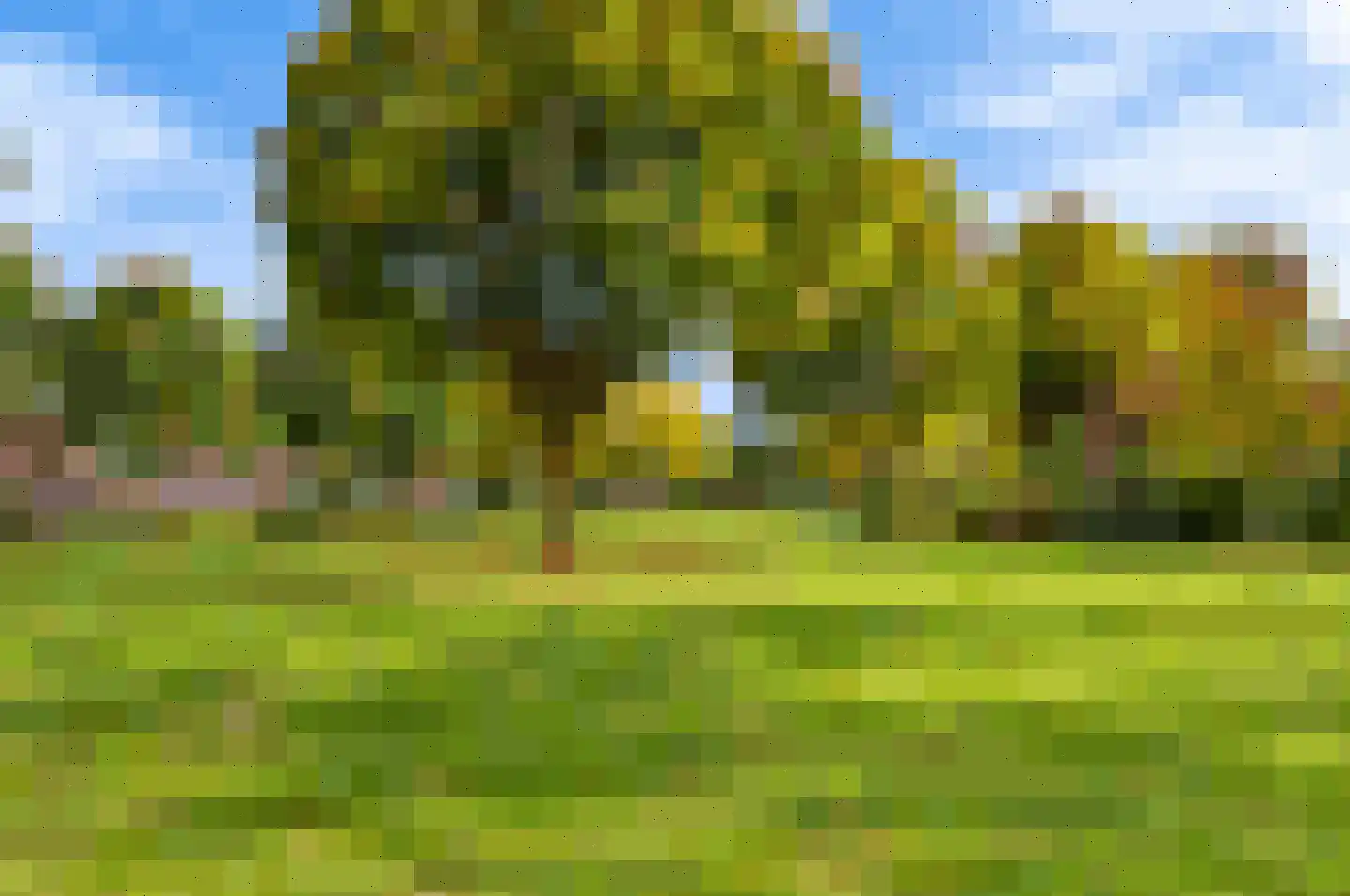 Kleine Vos 2 Deurne thumbnail 33