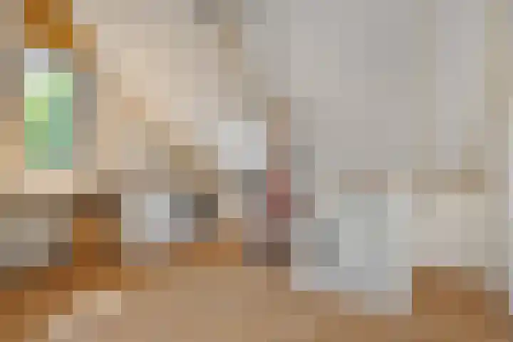 Kleine Vos 2 Deurne thumbnail 34