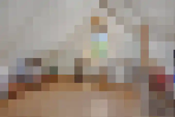 Kleine Vos 2 Deurne thumbnail 35