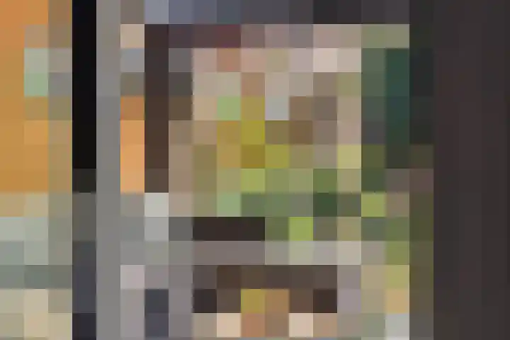 Kleine Vos 2 Deurne thumbnail 38