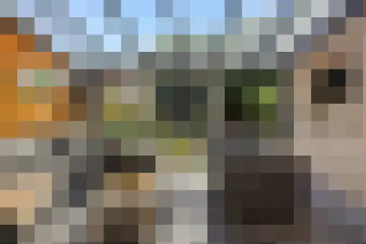 Kleine Vos 2 Deurne thumbnail 4