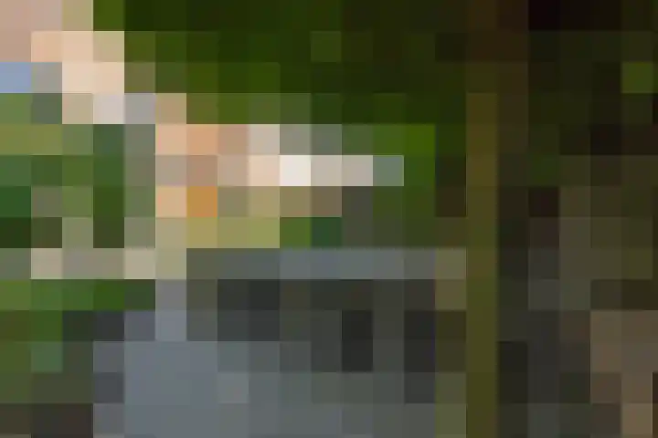Kleine Vos 2 Deurne thumbnail 43