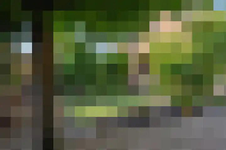 Kleine Vos 2 Deurne thumbnail 44