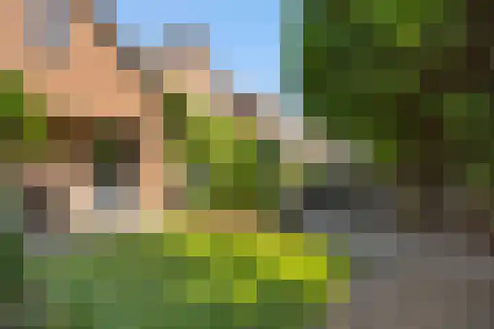 Kleine Vos 2 Deurne thumbnail 45