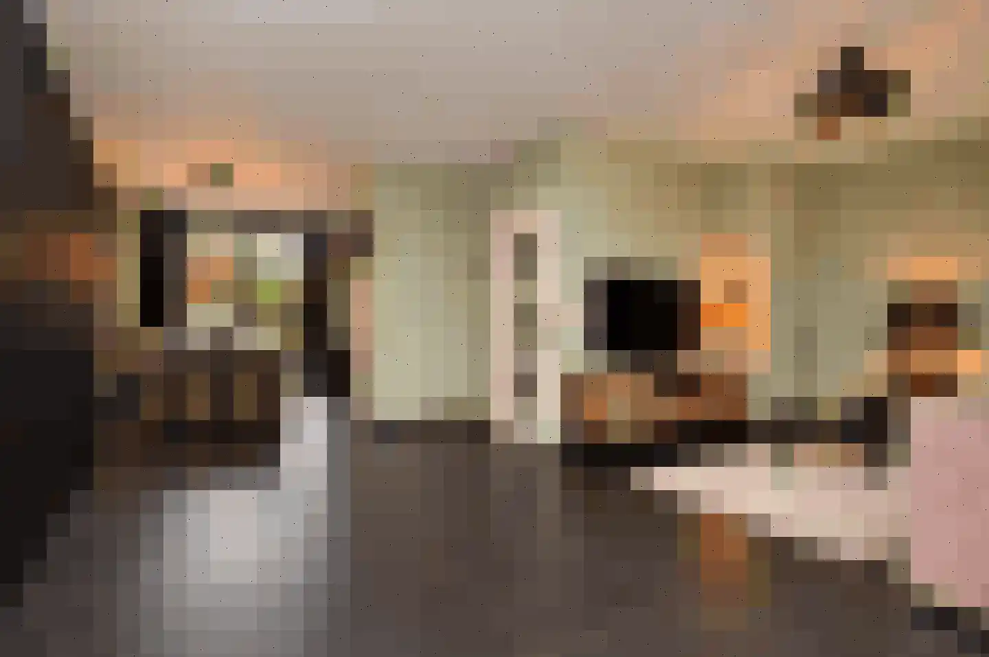 Kleine Vos 2 Deurne thumbnail 5