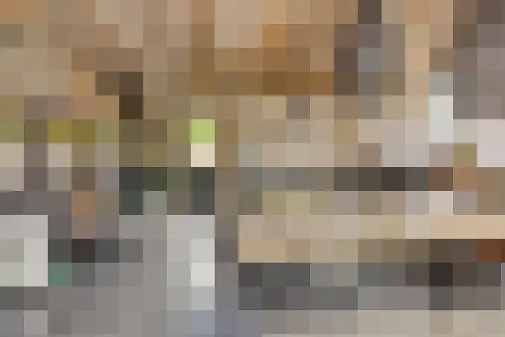 Kleine Vos 2 Deurne thumbnail 5