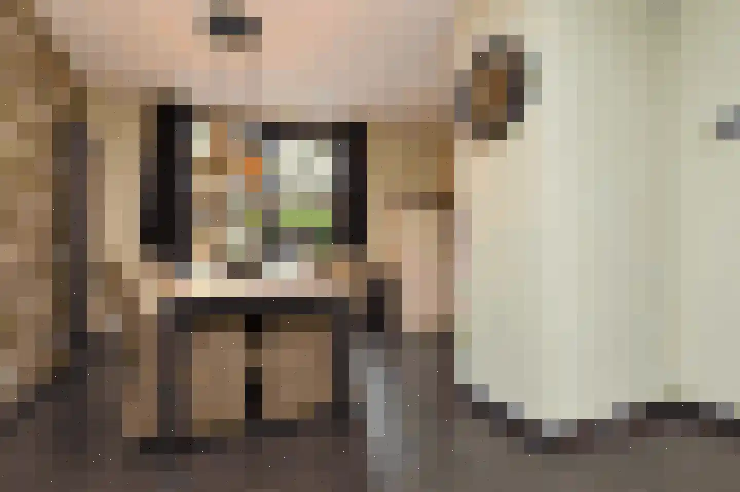 Kleine Vos 2 Deurne thumbnail 7