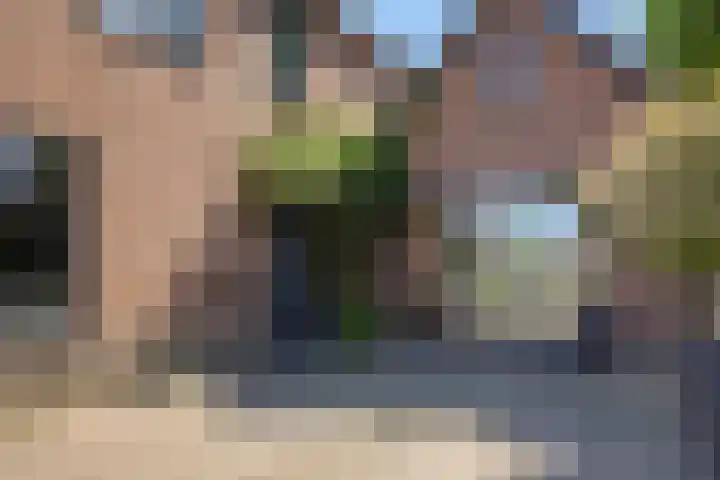 Kleine Vos 2 Deurne thumbnail 7