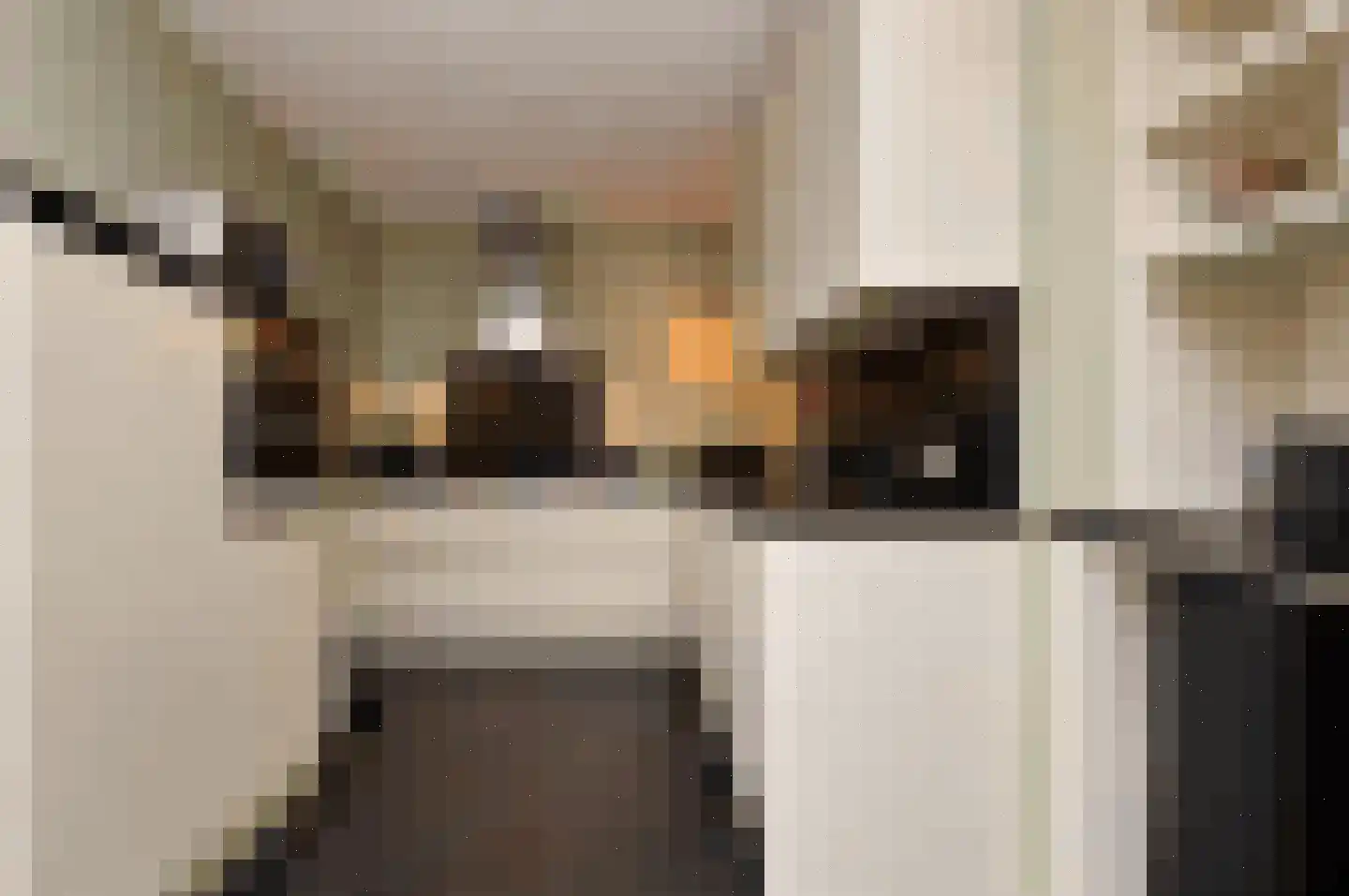 Kleine Vos 2 Deurne thumbnail 8