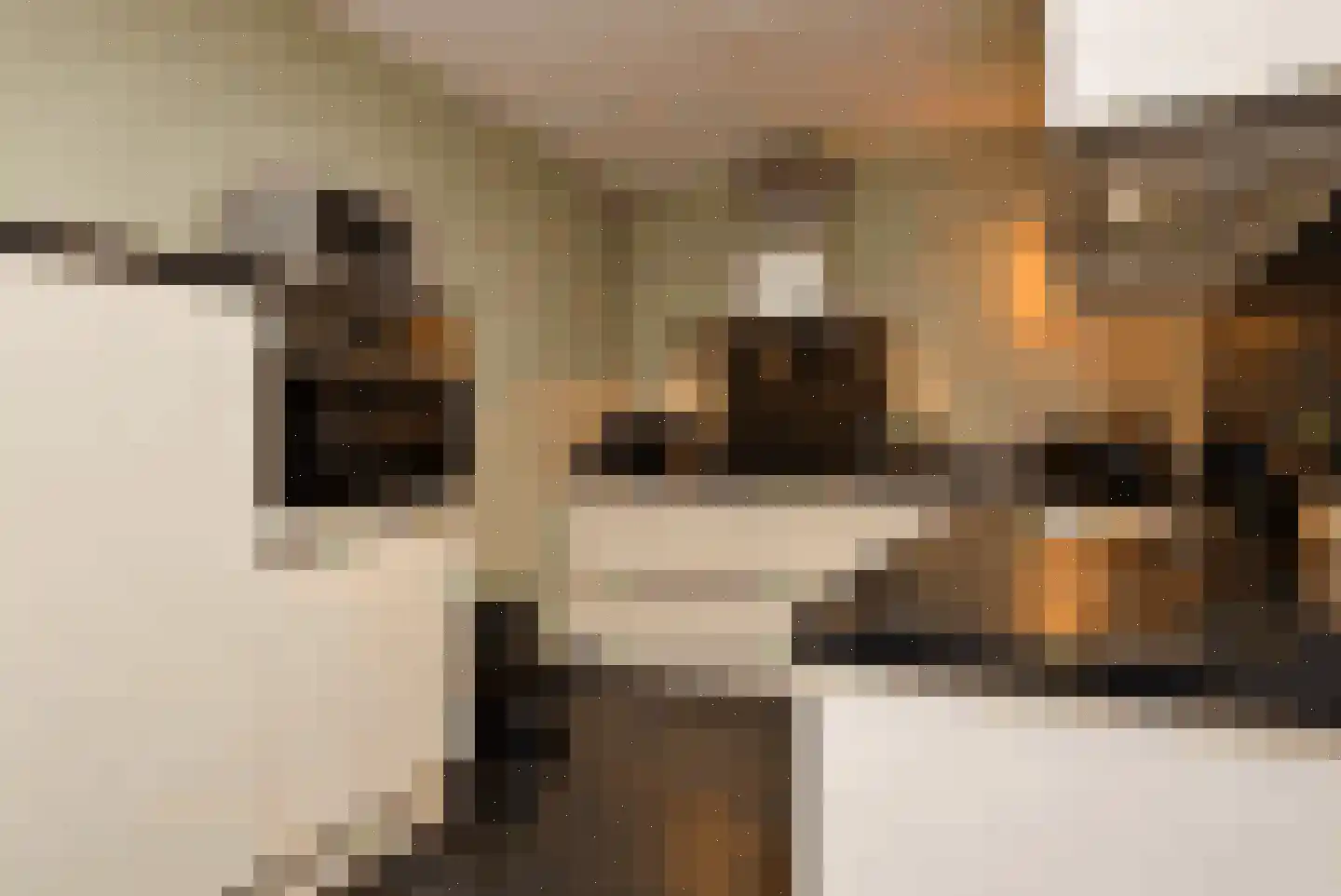 Kleine Vos 2 Deurne thumbnail 9