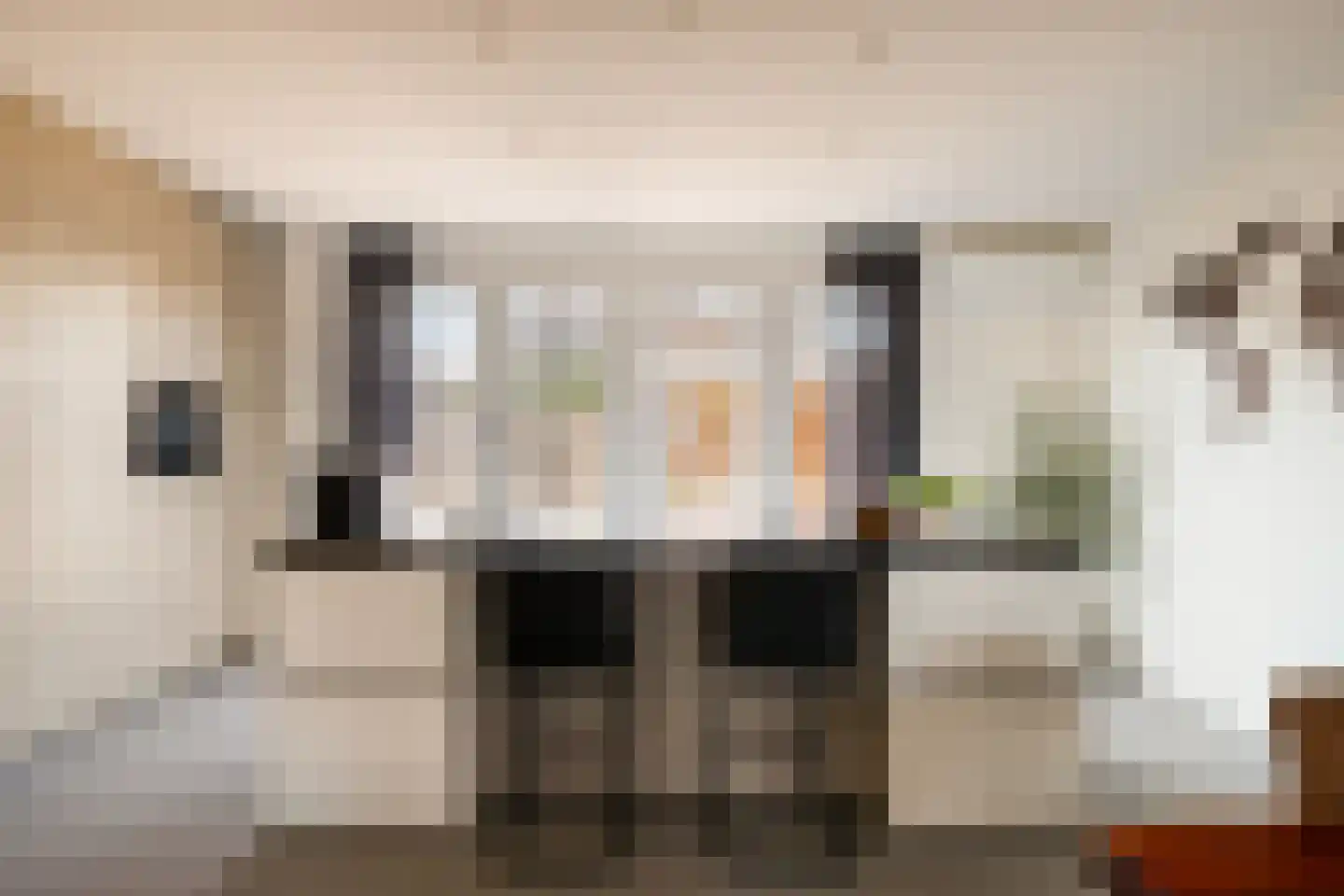 Kleine Vos 22 Mierlo thumbnail 11