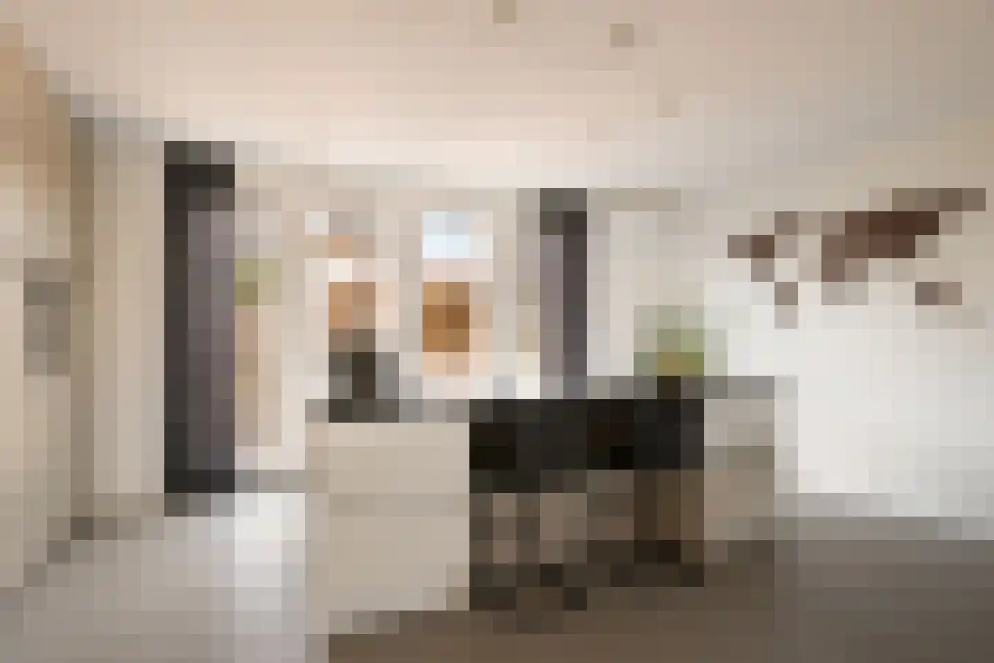 Kleine Vos 22 Mierlo thumbnail 12