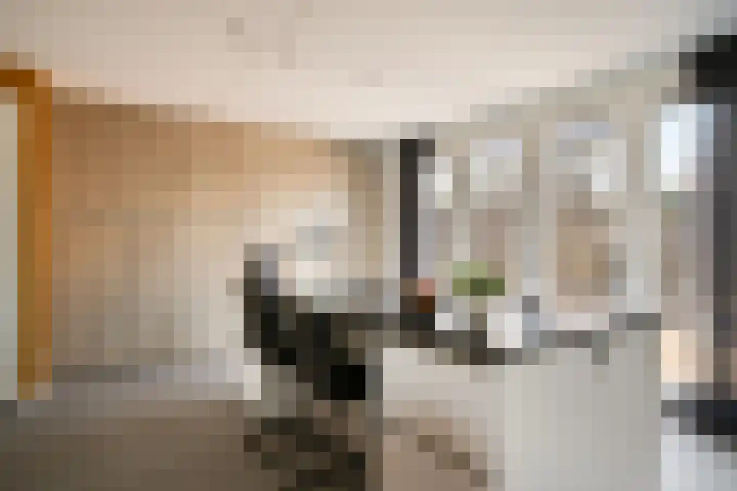 Kleine Vos 22 Mierlo thumbnail 13