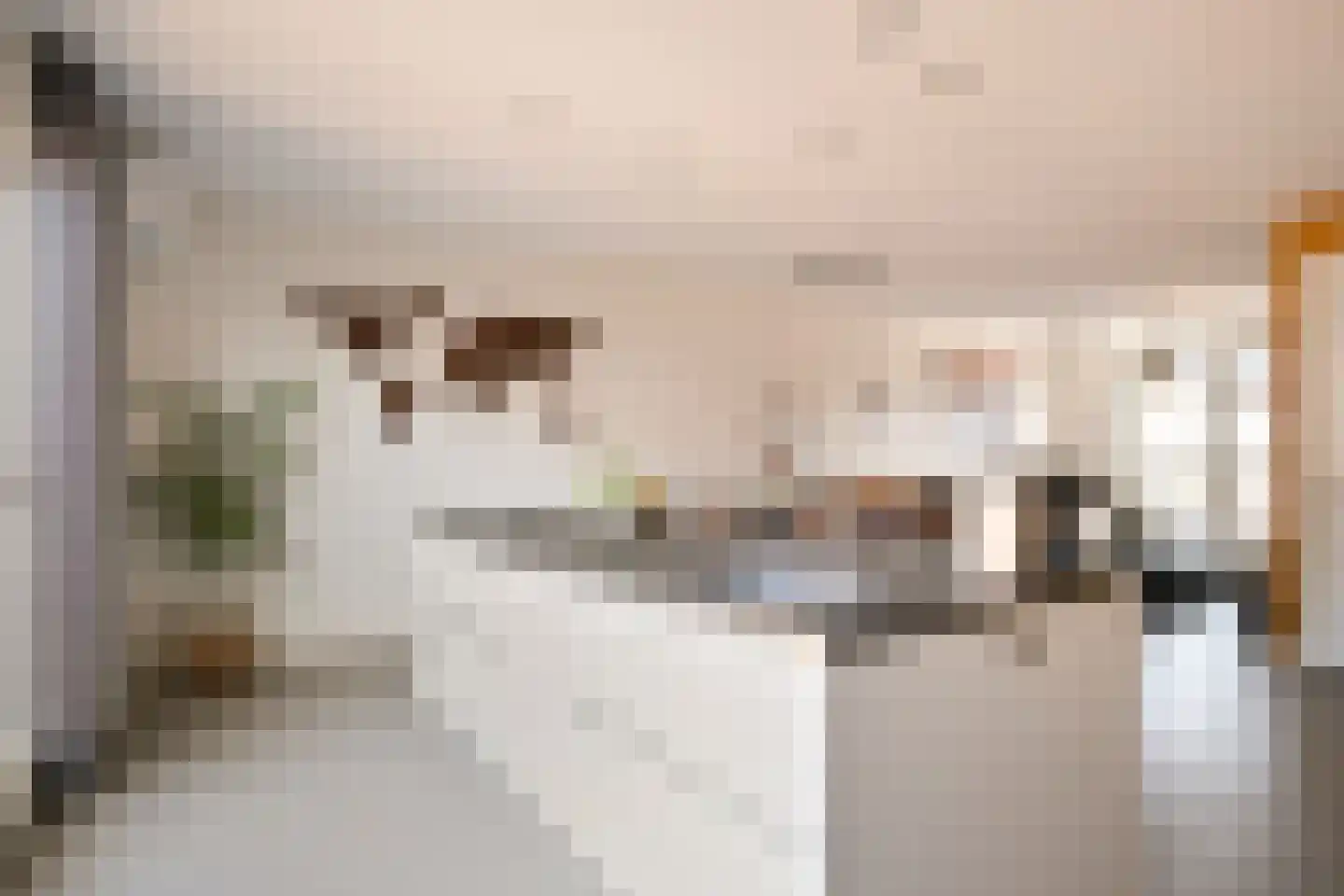 Kleine Vos 22 Mierlo thumbnail 14