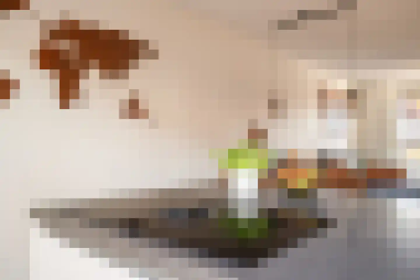 Kleine Vos 22 Mierlo thumbnail 16