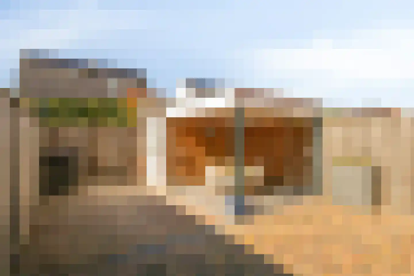 Kleine Vos 22 Mierlo thumbnail 18