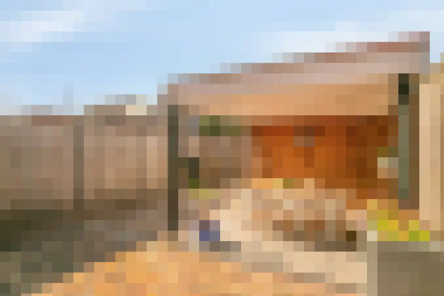Kleine Vos 22 Mierlo thumbnail 19