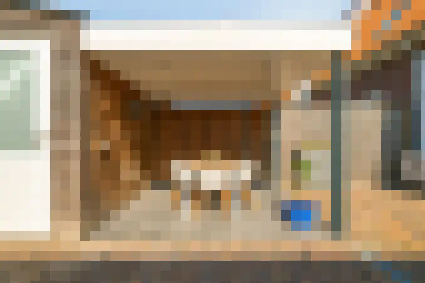 Kleine Vos 22 Mierlo thumbnail 21