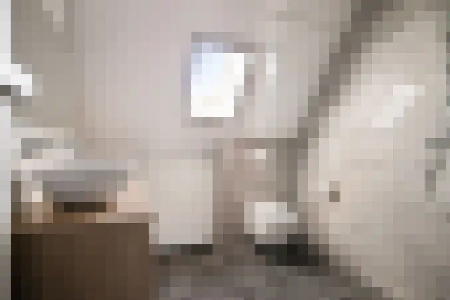 Kleine Vos 22 Mierlo thumbnail 28