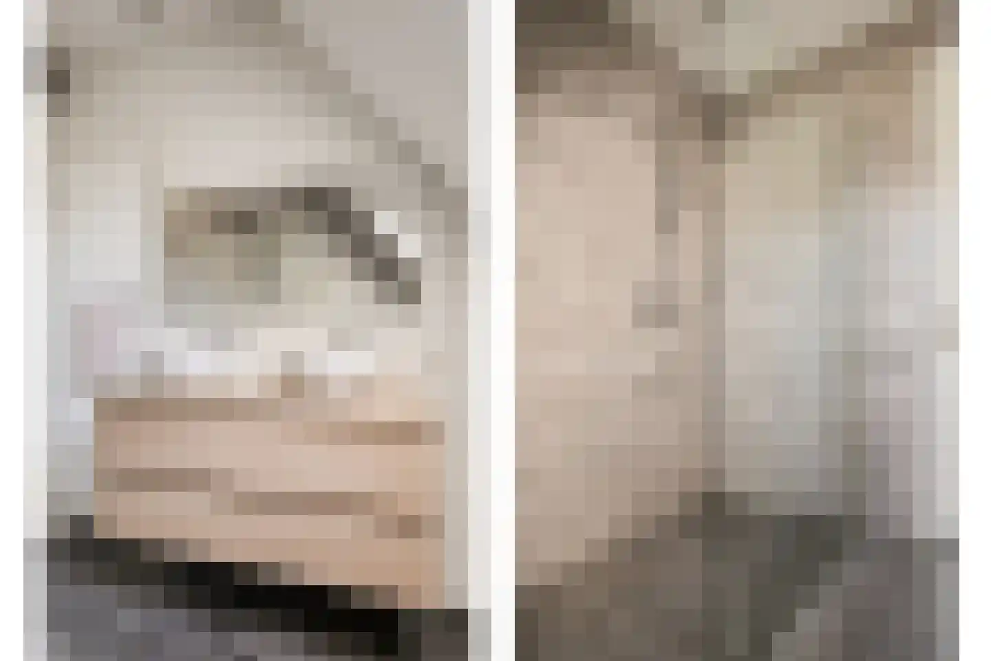Kleine Vos 22 Mierlo thumbnail 29