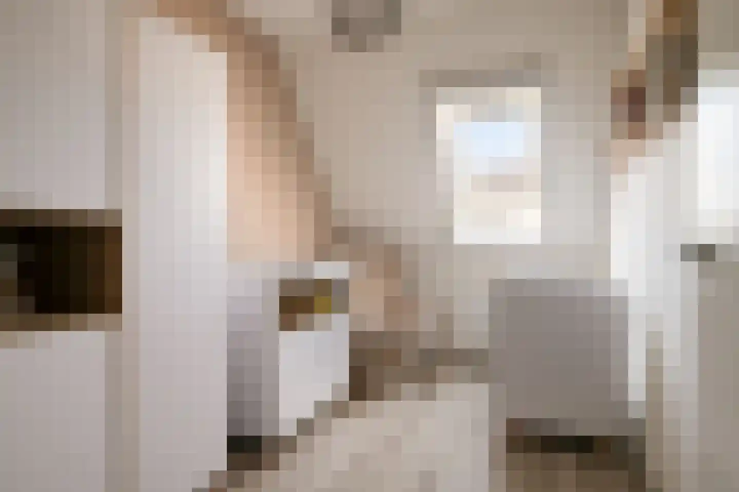 Kleine Vos 22 Mierlo thumbnail 32
