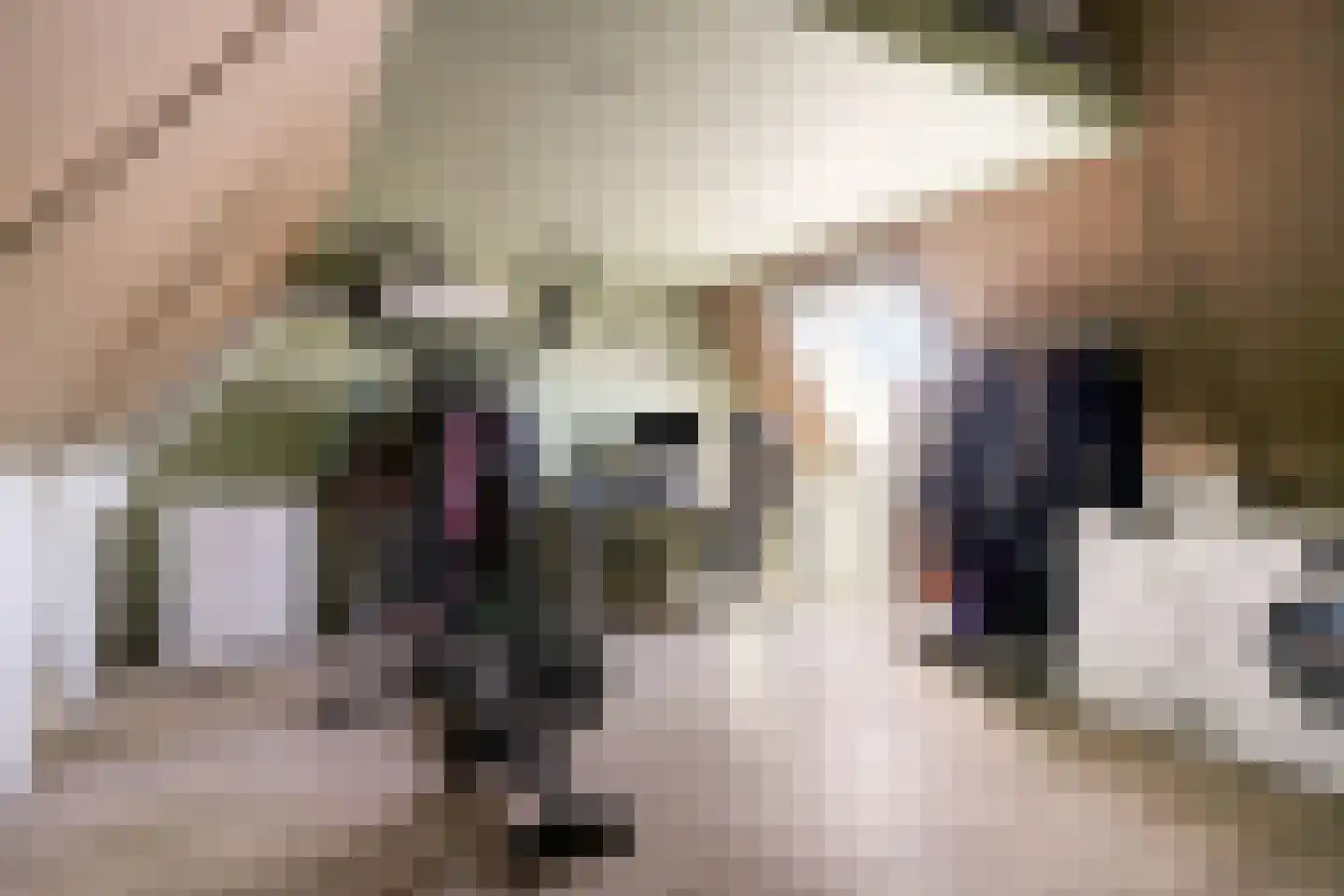 Kleine Vos 22 Mierlo thumbnail 33