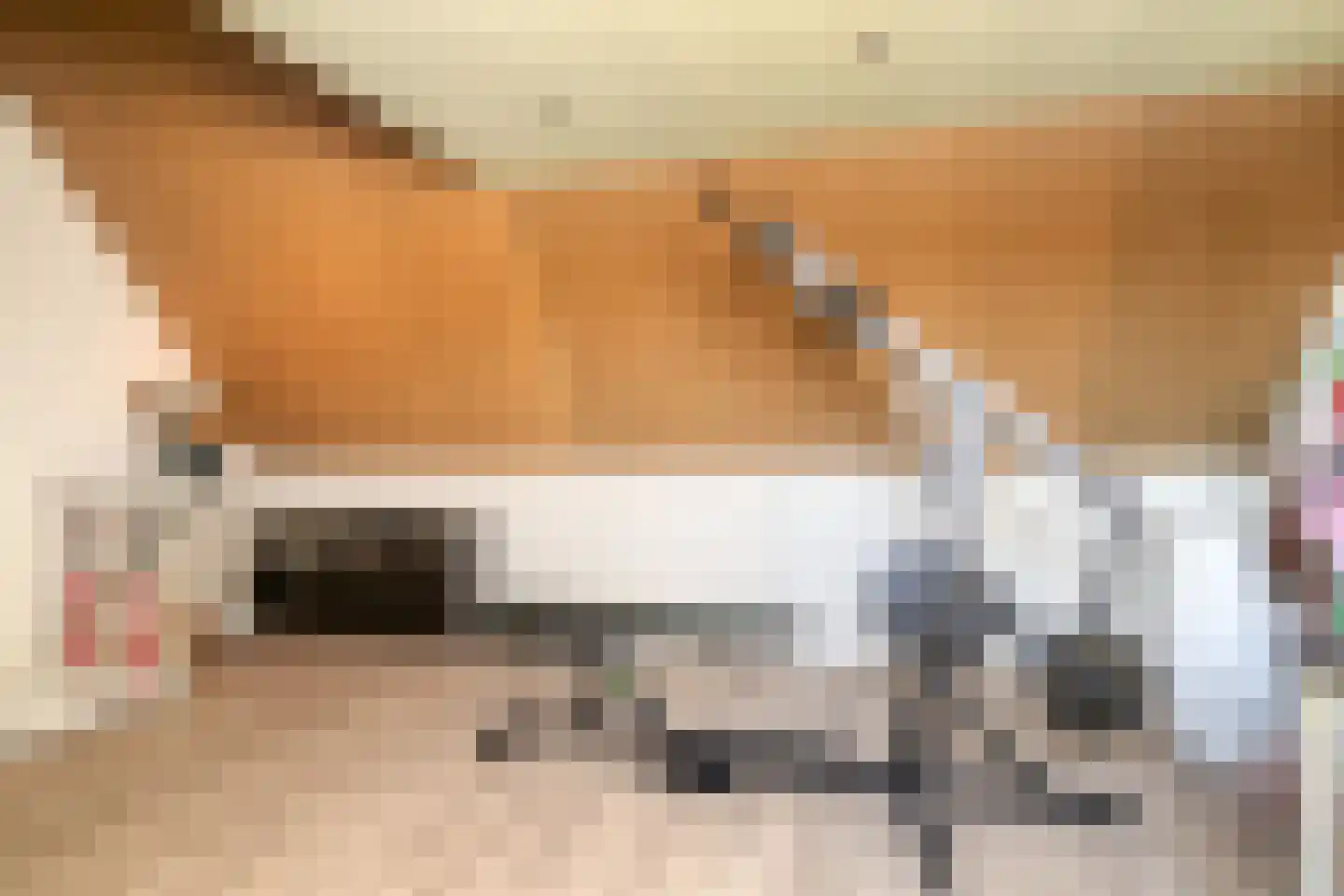 Kleine Vos 22 Mierlo thumbnail 35