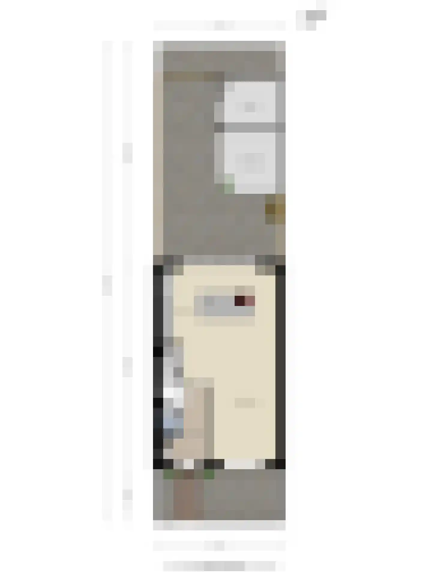 Kleine Vos 22 Mierlo thumbnail 42