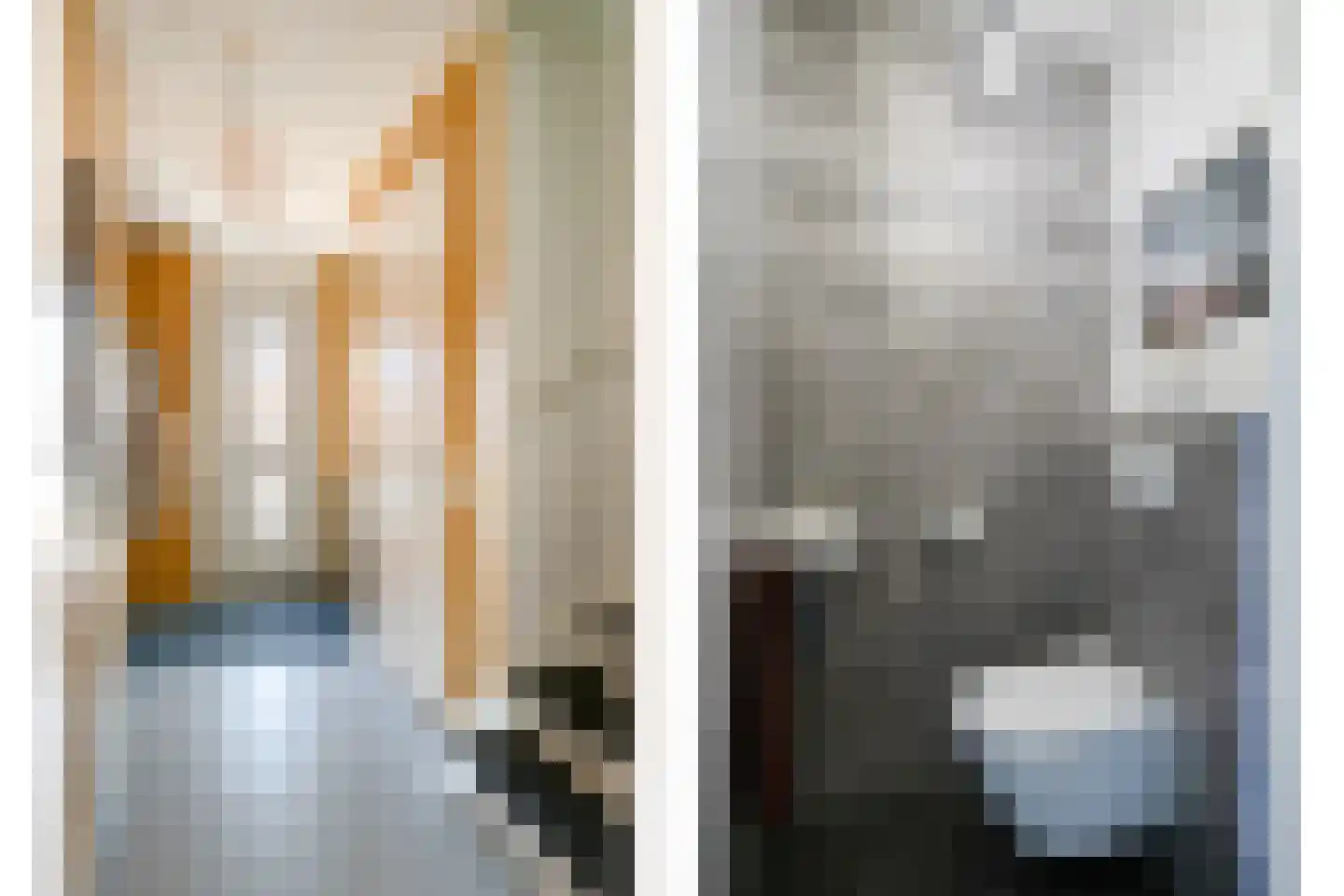 Kleine Vos 22 Mierlo thumbnail 6
