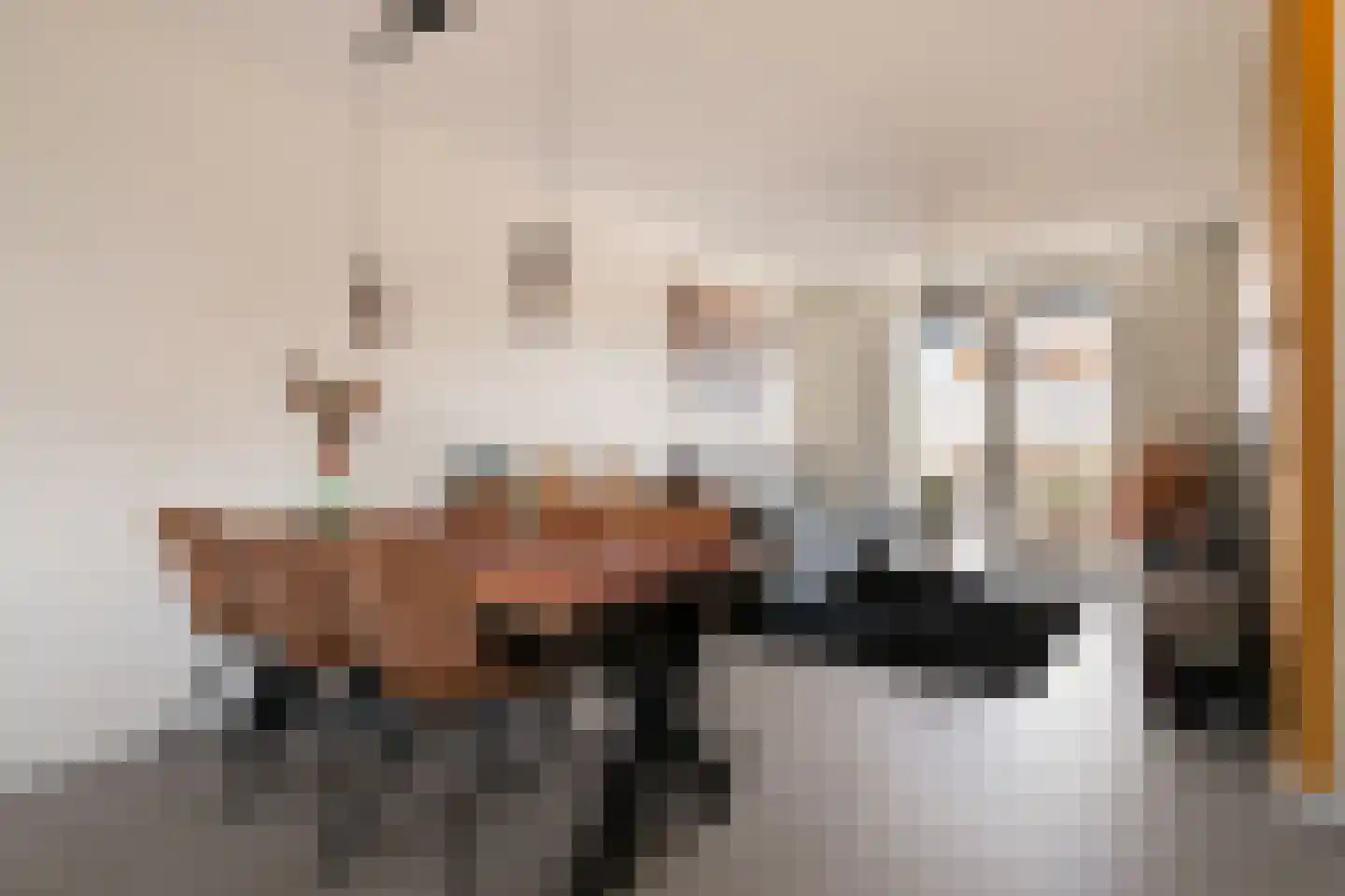 Kleine Vos 22 Mierlo thumbnail 8