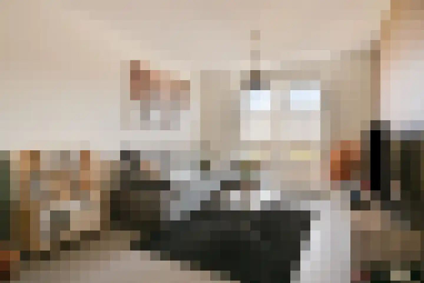 Kleine Vos 22 Mierlo thumbnail 9