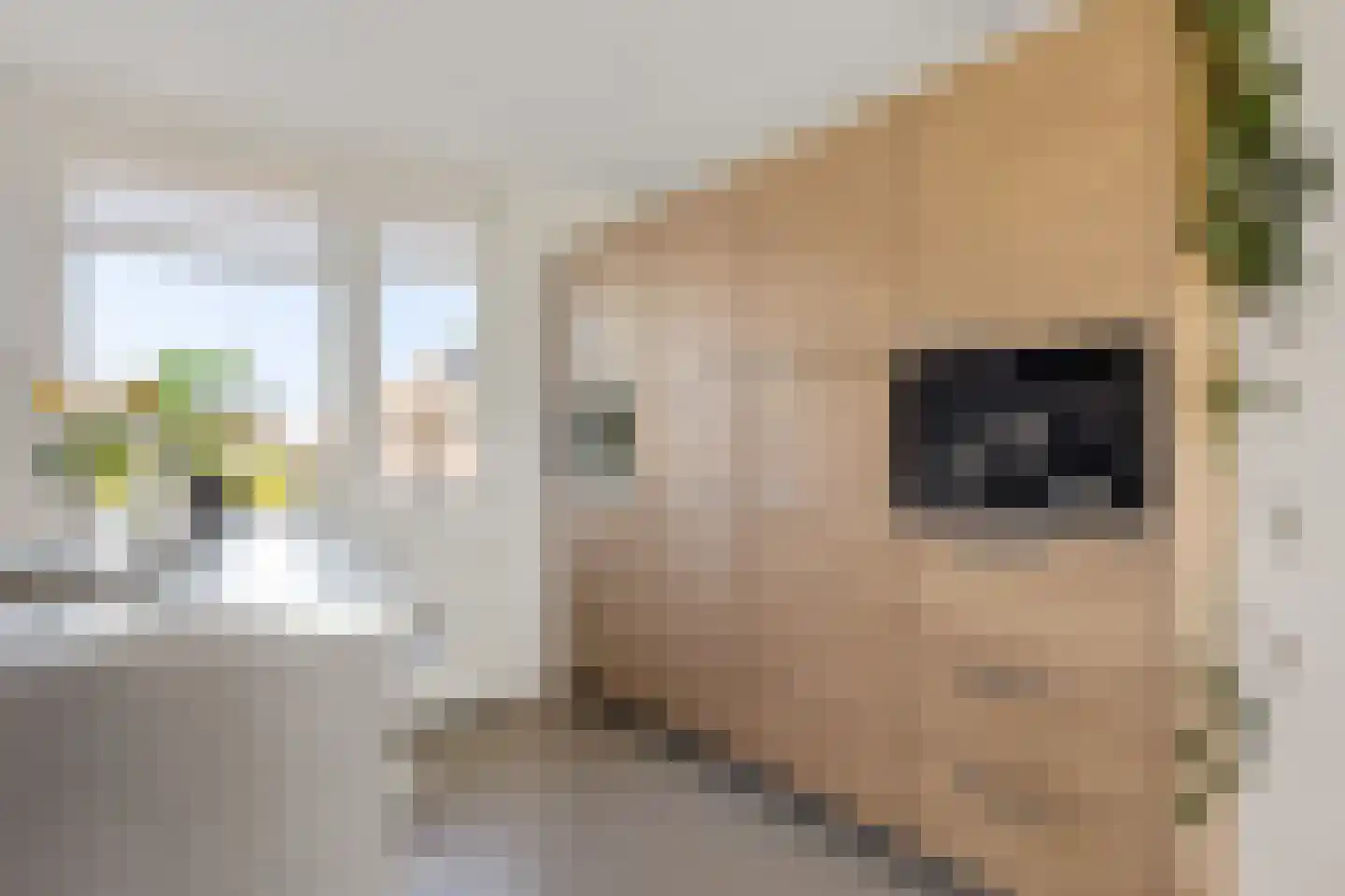 Kleine vos 24 Sneek thumbnail 13