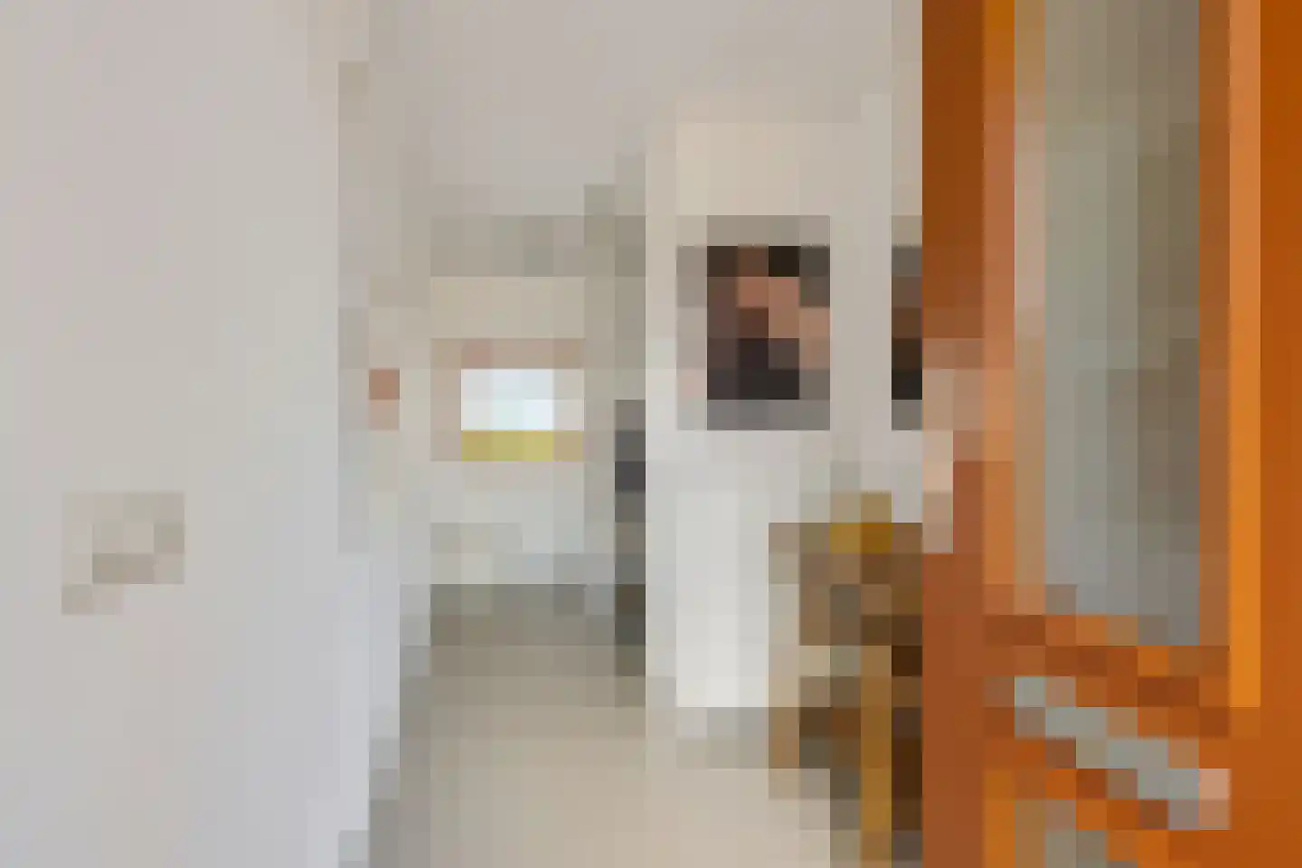 Kleine vos 24 Sneek thumbnail 15