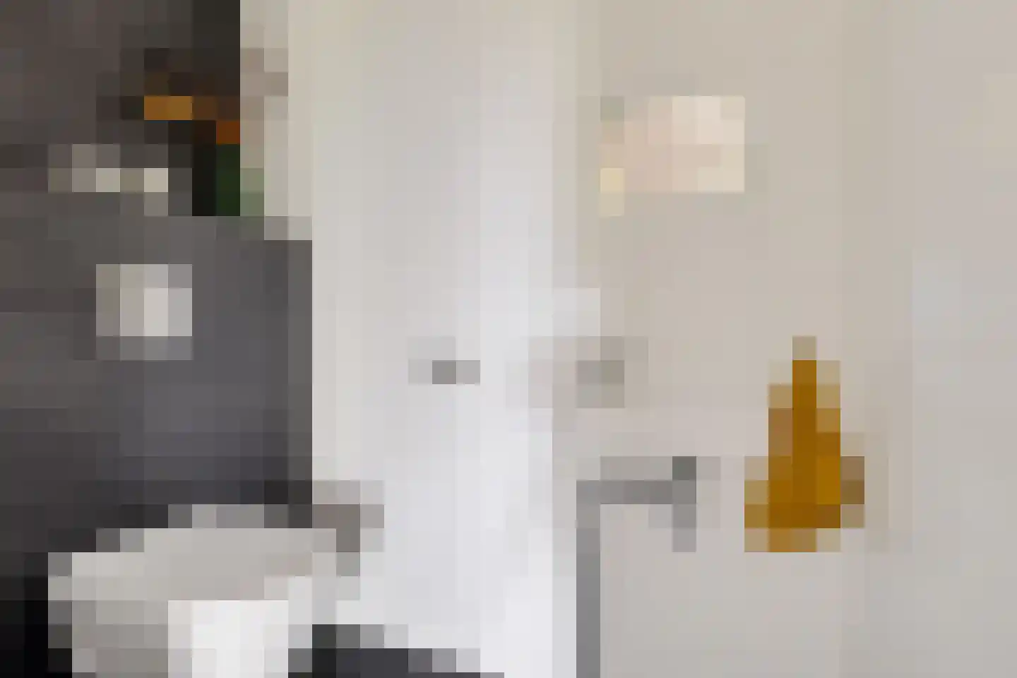 Kleine vos 24 Sneek thumbnail 16