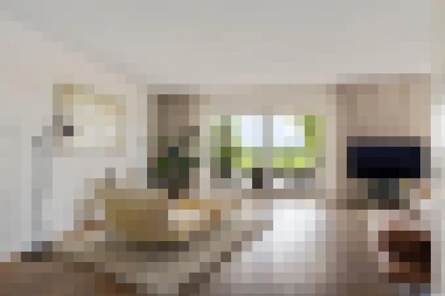 Kleine vos 24 Sneek thumbnail 19