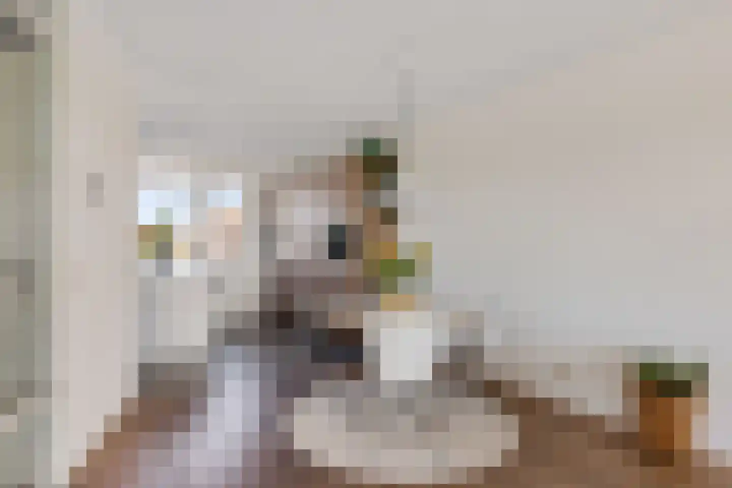 Kleine vos 24 Sneek thumbnail 20
