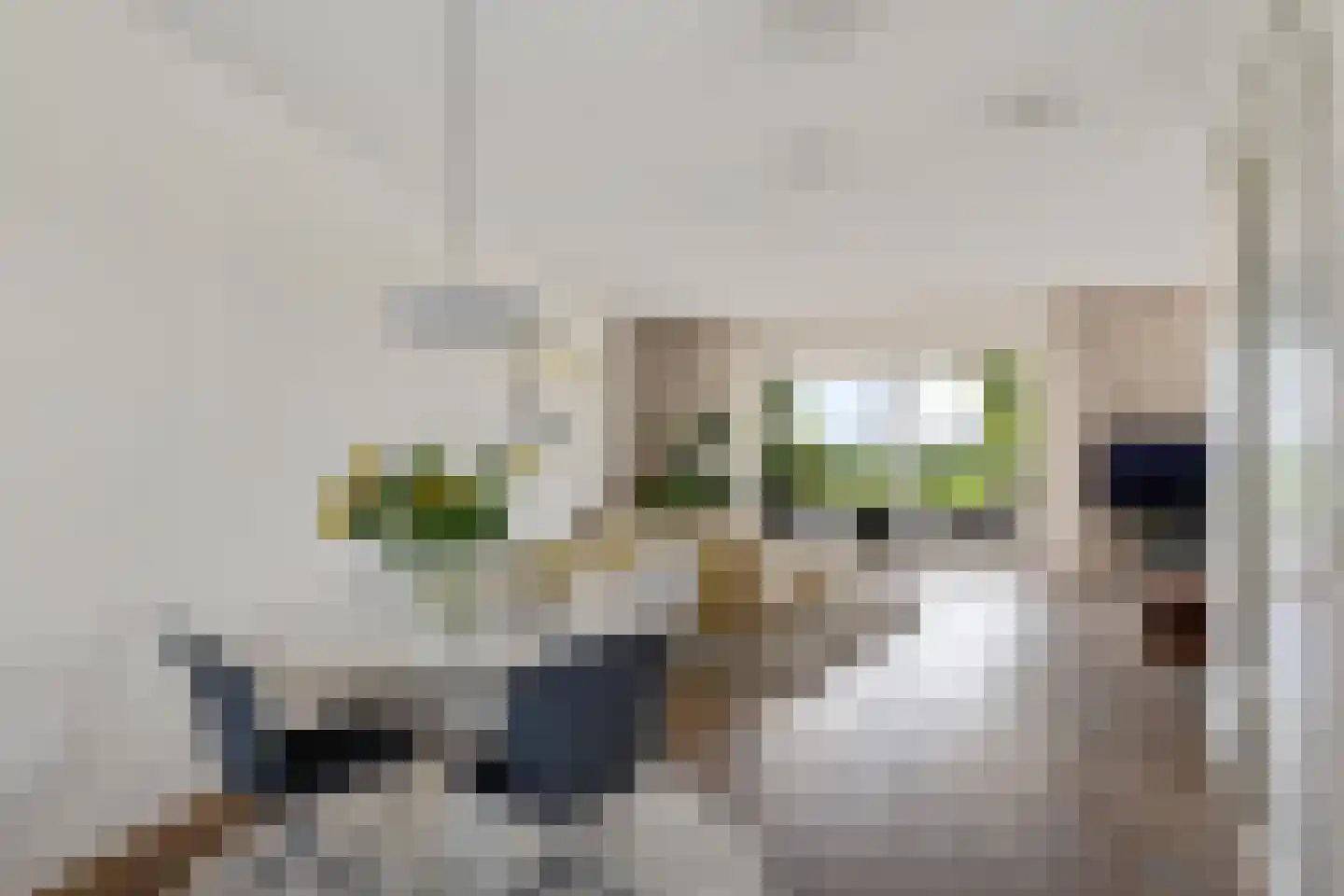 Kleine vos 24 Sneek thumbnail 21